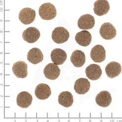 Wolfsblut Vetline Weight Management - Hondenvoer