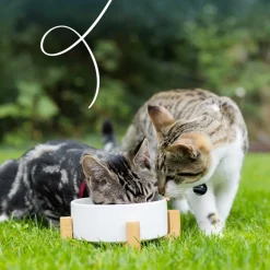 Yarrah - Bio Paté Kat Kuipje met Kip en Zalm