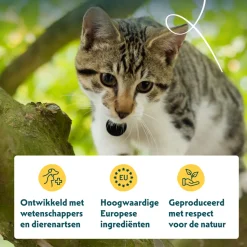 Yarrah - Bio Paté Kat Kuipje met Kip en Zalm