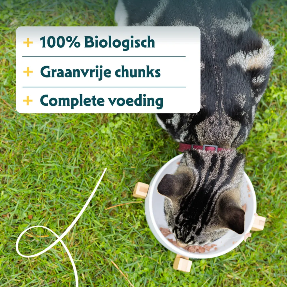 Yarrah - Chunks Kat Kuipje met Kip & Rund Bio