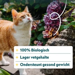 Yarrah - Droogvoer Gesteriliseerde Kat Tarwevrij Bio