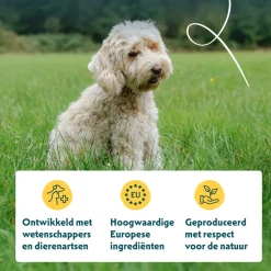 Yarrah - Droogvoer Hond Graanvrij Bio