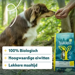 Yarrah - Droogvoer Hond met Kip Bio