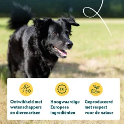 Yarrah - Droogvoer Hond Senior Bio