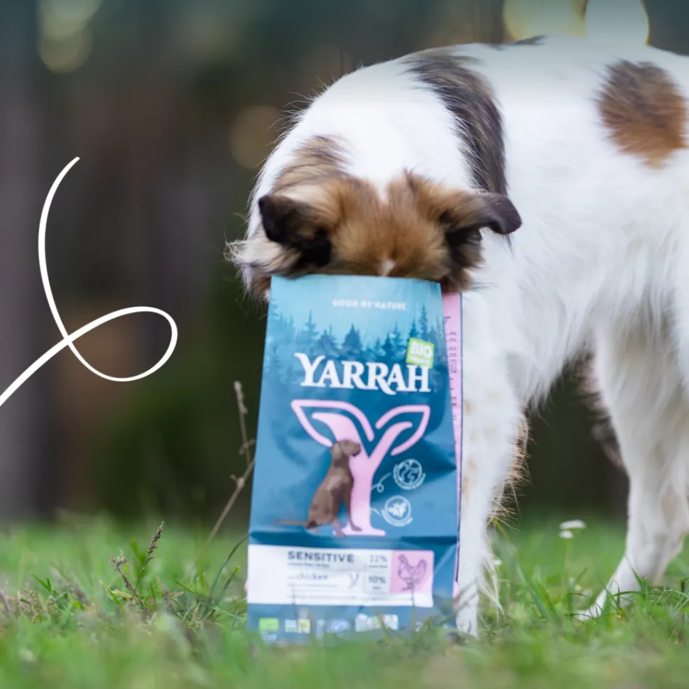 Yarrah - Droogvoer Hond Sensitive Bio