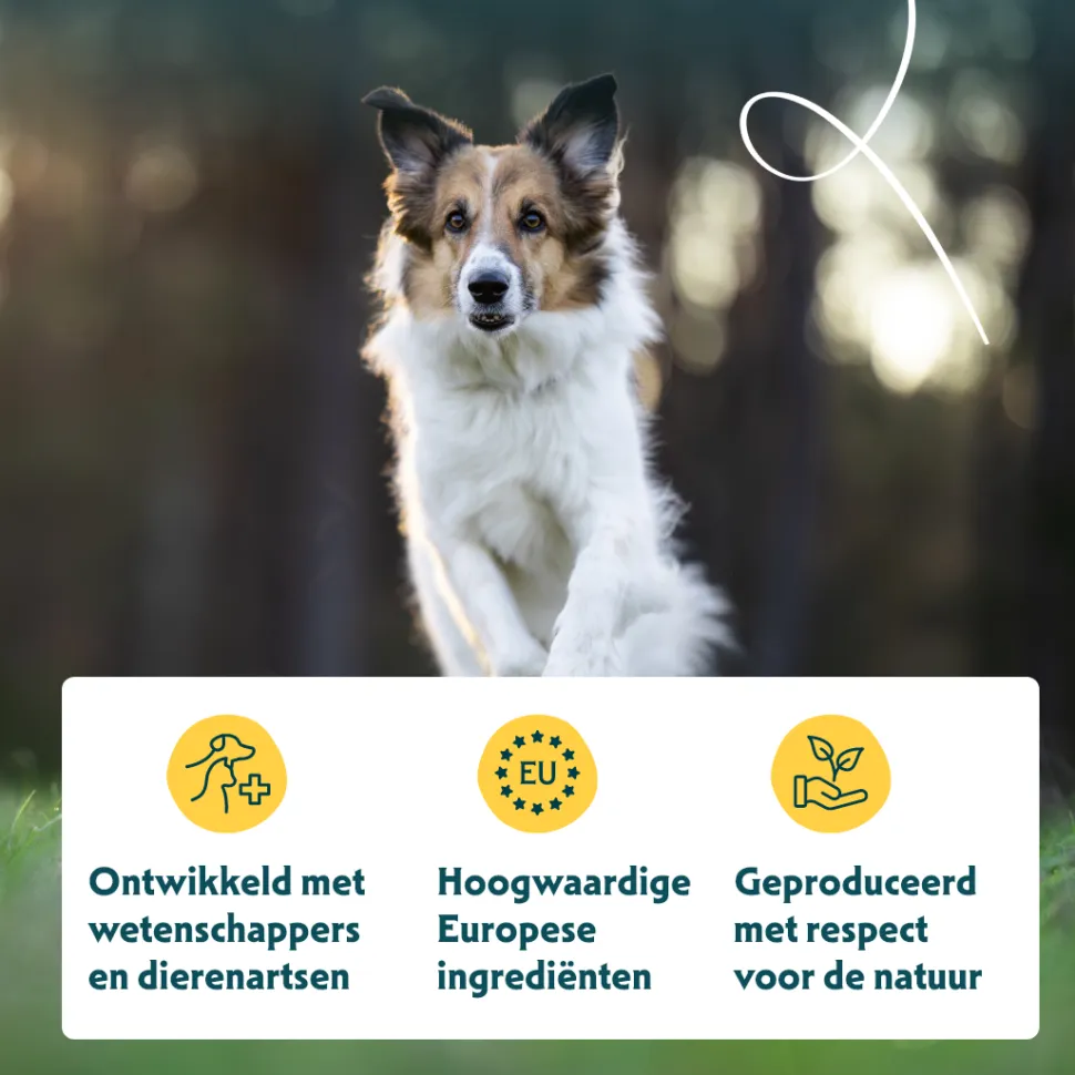 Yarrah - Droogvoer Hond Sensitive Bio