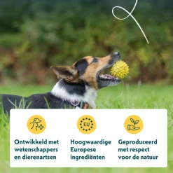 Yarrah - Droogvoer Hond voor kleine rassen Bio