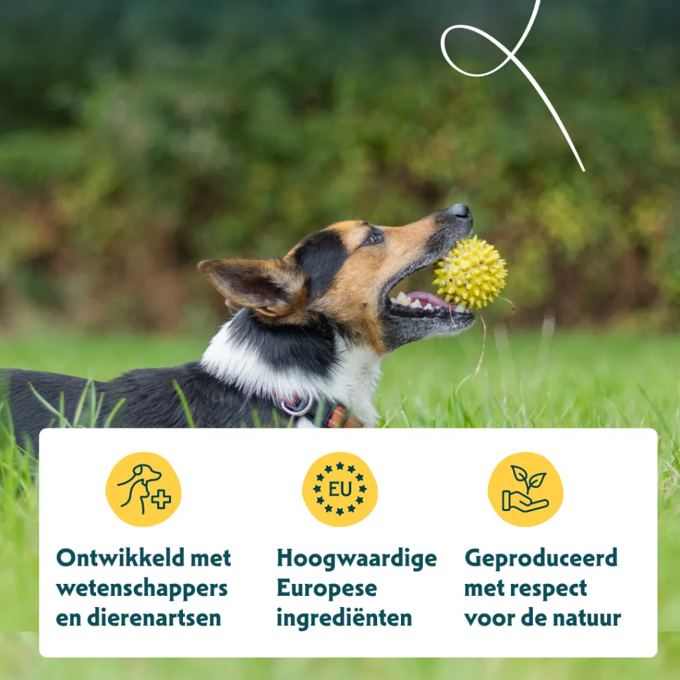 Yarrah - Droogvoer Hond voor kleine rassen Bio