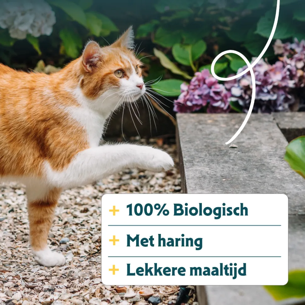 Yarrah - Droogvoer Kat met Vis Bio