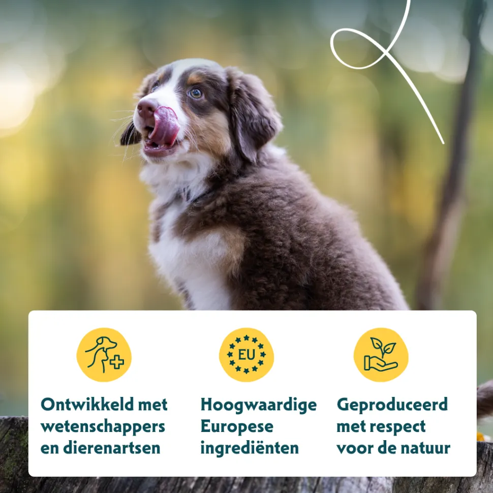 Yarrah - Droogvoer Puppy Bio