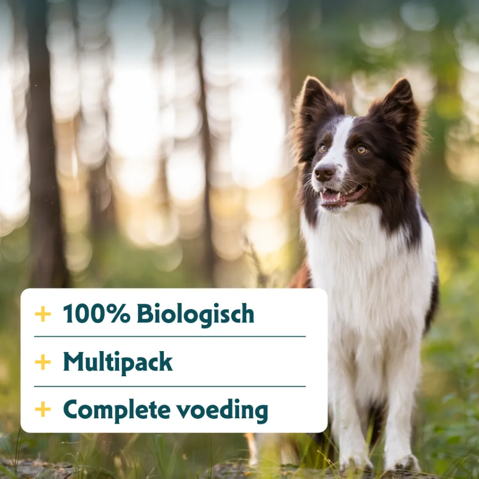 Yarrah - Multi Pack Hond Bio