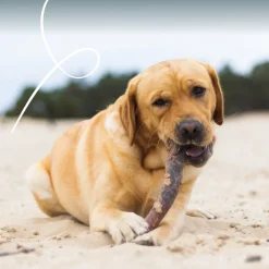 Yarrah - Natvoer Hond Blik Chunks met Rund Bio