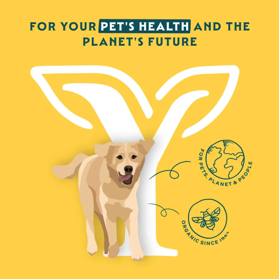 Yarrah - Natvoer Hond Blik Chunks met Rund Bio