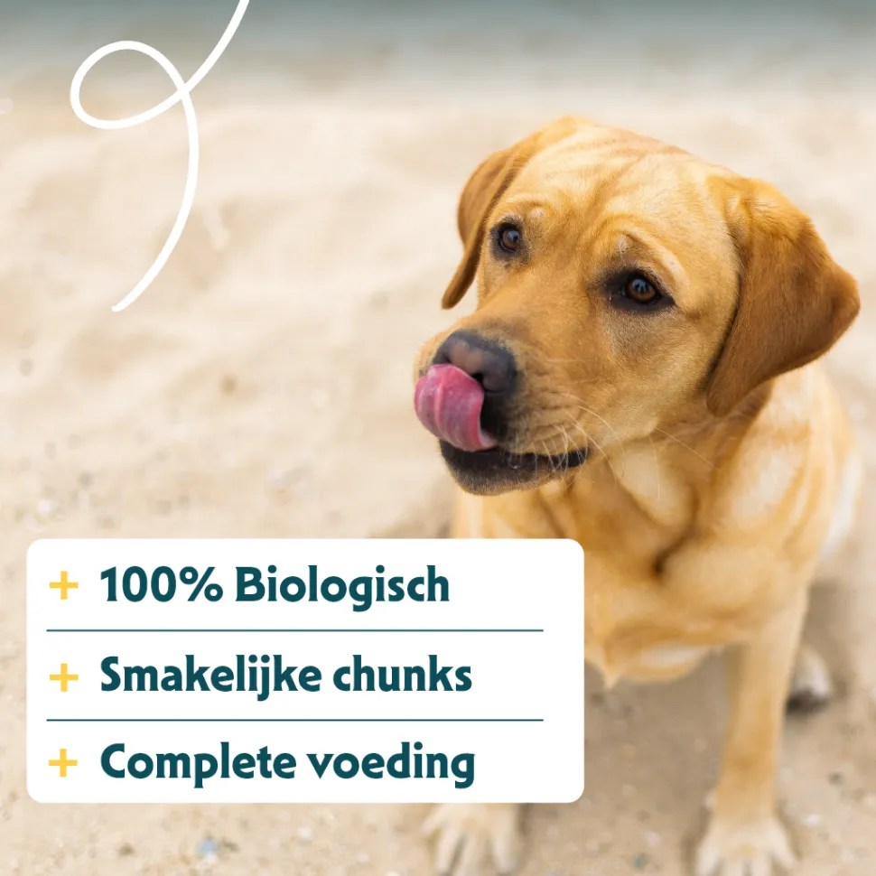 Yarrah - Natvoer Hond Blik Chunks met Rund Bio