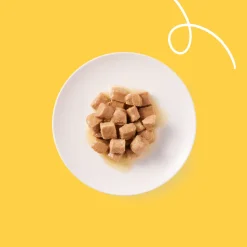 Yarrah - Natvoer Kat Blik Chunks met Kip Bio