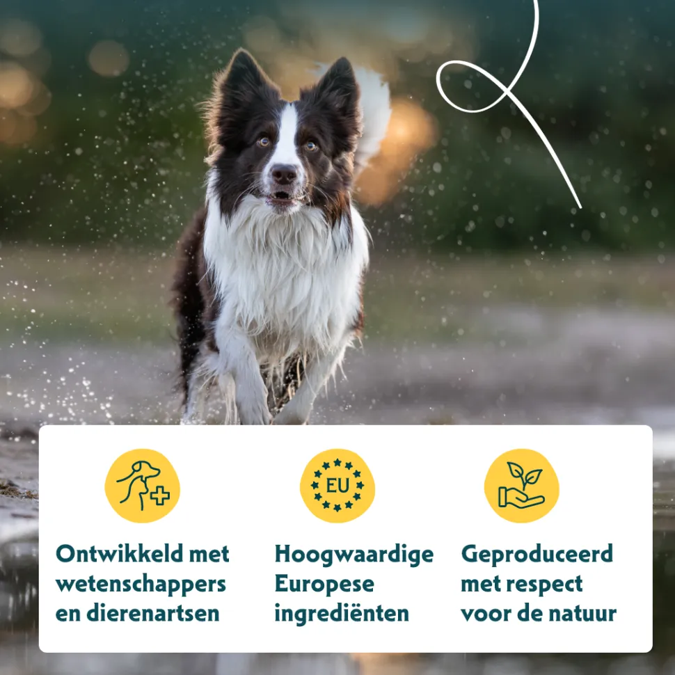 Yarrah - Natvoer Kuipje Paté met Kip