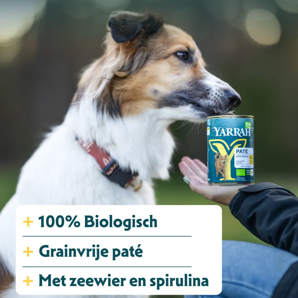 Yarrah - Paté Hond Blik met Kip Bio