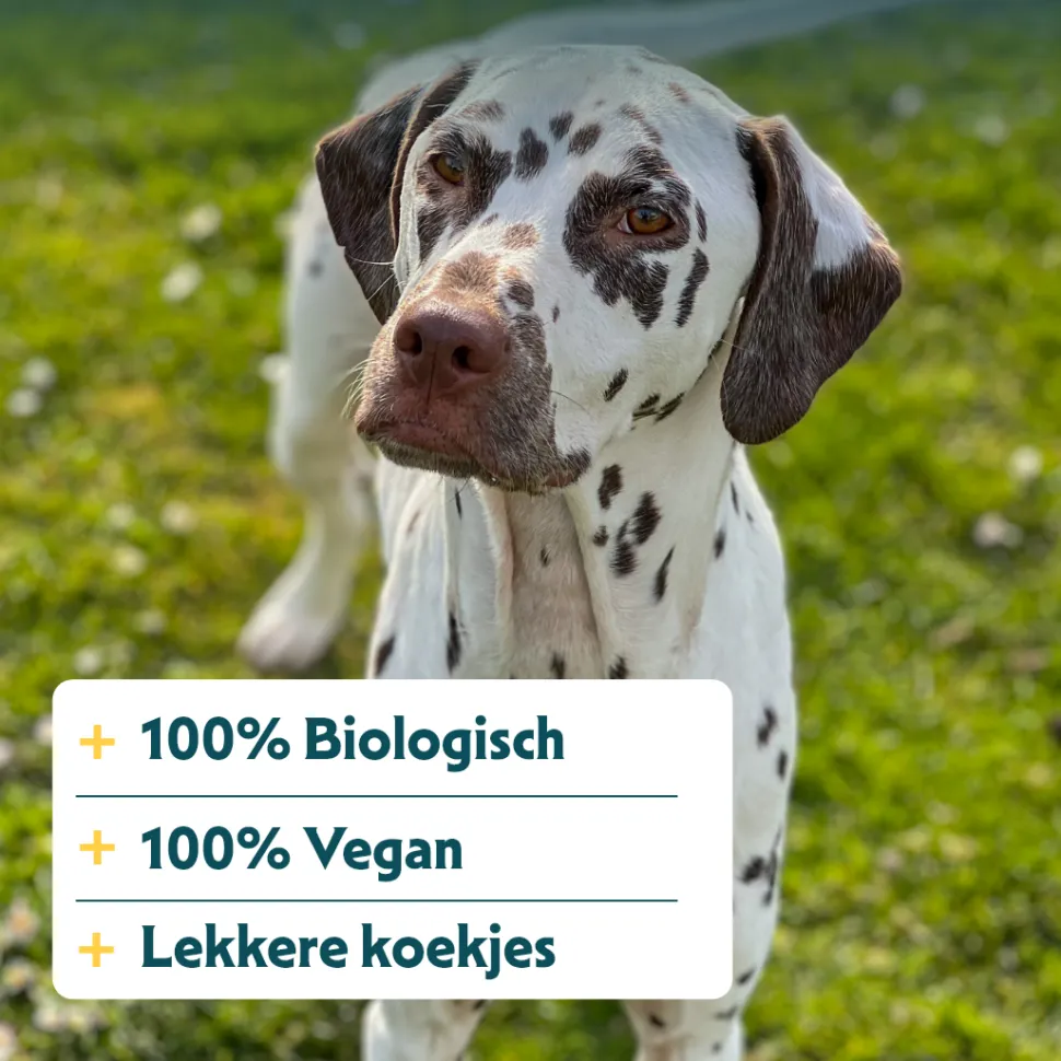 Yarrah - Vega Hondenkoekjes Bio