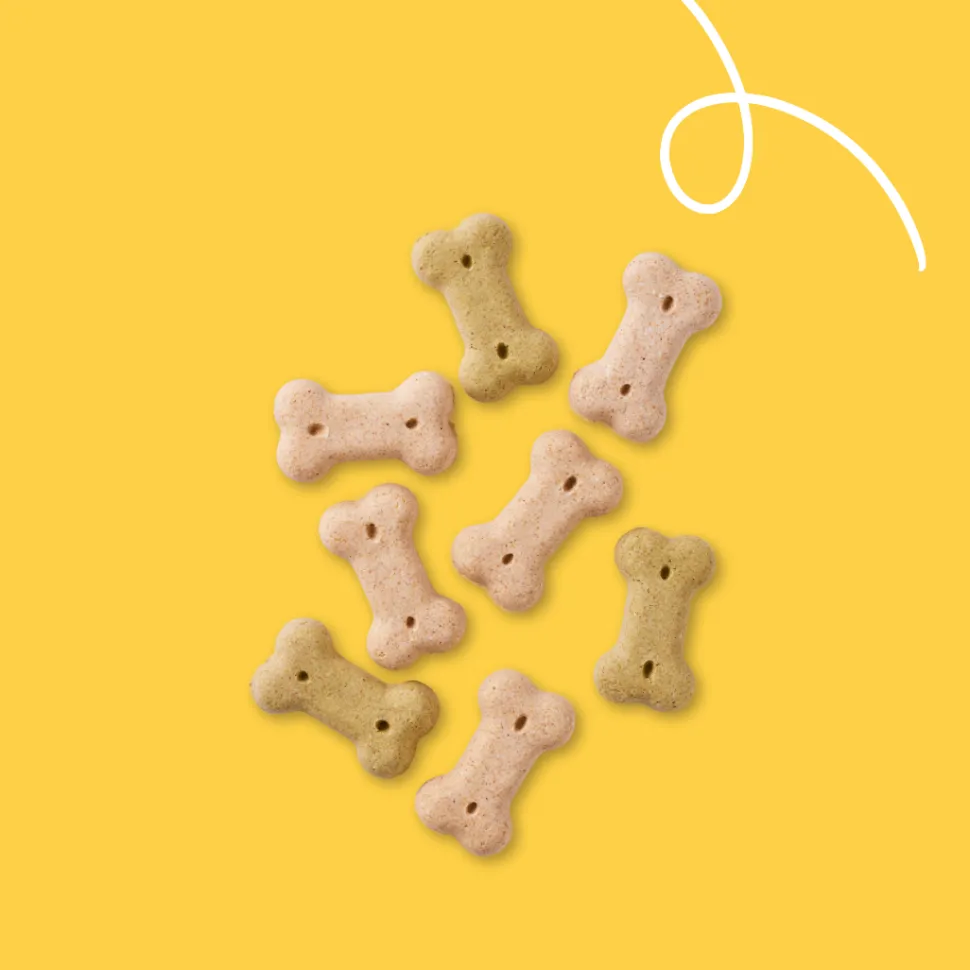 Yarrah - Vega Multi Hondenkoekjes Bio