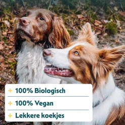 Yarrah - Vega Multi Hondenkoekjes Bio