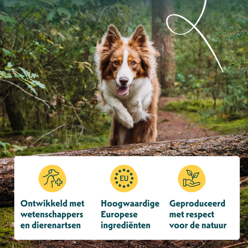 Yarrah - Vega Multi Hondenkoekjes Bio
