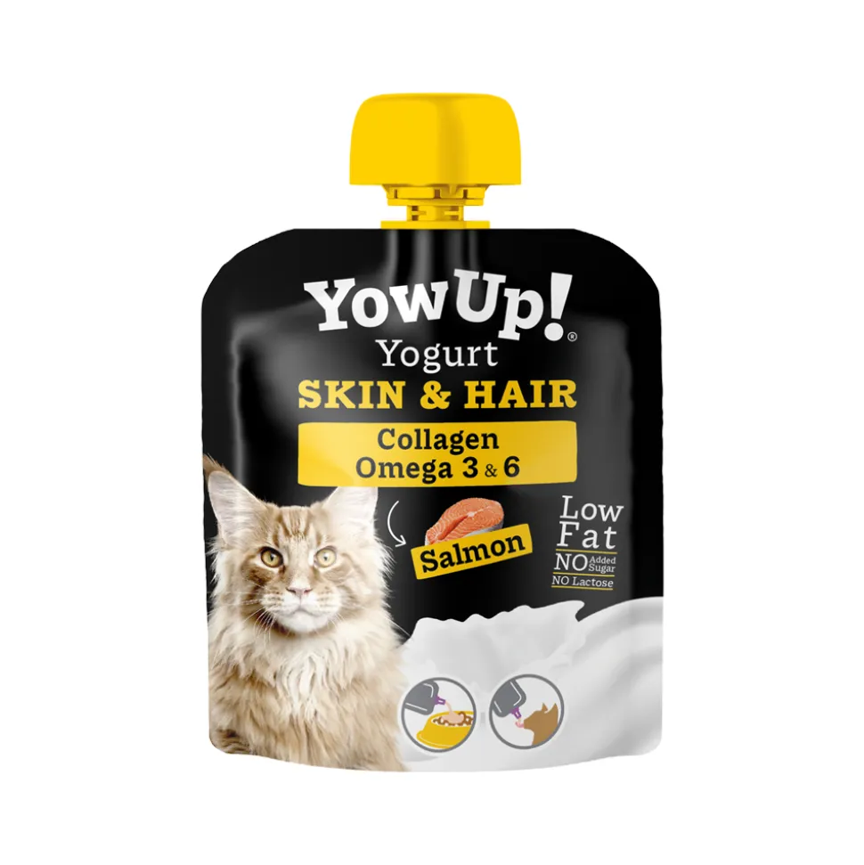 YowUp! Yoghurt Cats