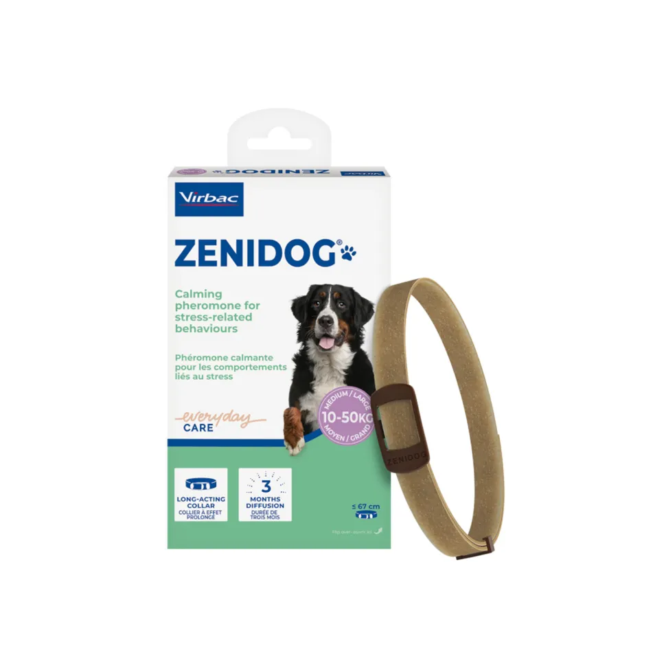 Zenidog Halsband