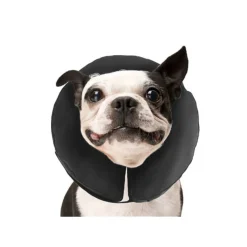 ZenPet Pro Collar