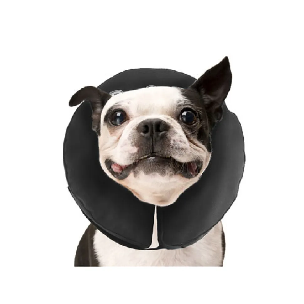 ZenPet Pro Collar