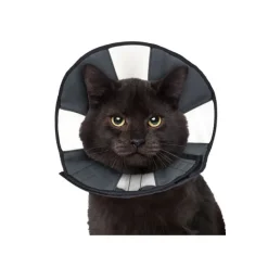 ZenPet Zen Collar