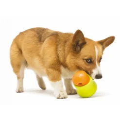 Zogoflex Toppl - Treat Toy